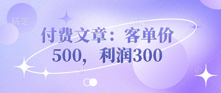付费文章：客单价500，利润300-華夏云创