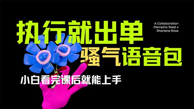 （14170期）爆火全网的开车导航骚气语音包,只要执行就出单，小白看完课程就能实操…-華夏云创